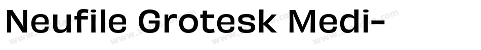 Neufile Grotesk Medi字体转换